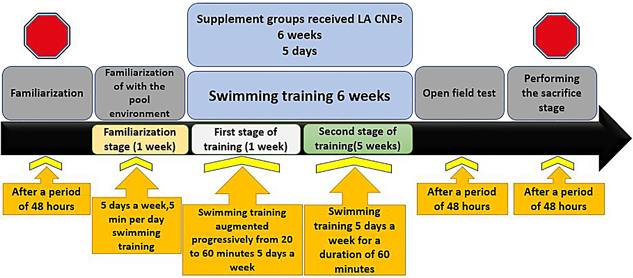 Effects of Exercise Training and L-Arginine Loaded Chitosan Nanoparticles on Hippocampus Histopathology, β-Secretase Enzyme Function, APP, Tau, Iba1and APOE-4 mRNA in Aging Rats