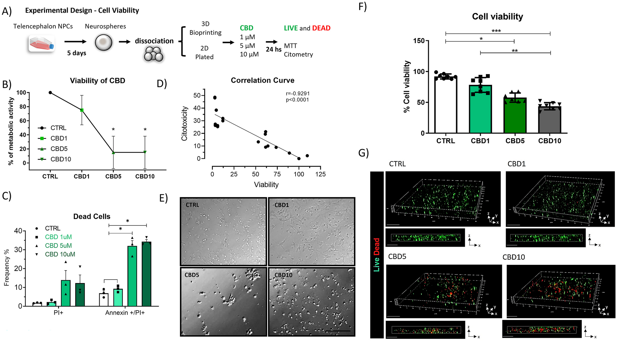 High Concentrations of Cannabidiol Induce Neurotoxicity in Neurosphere Culture System