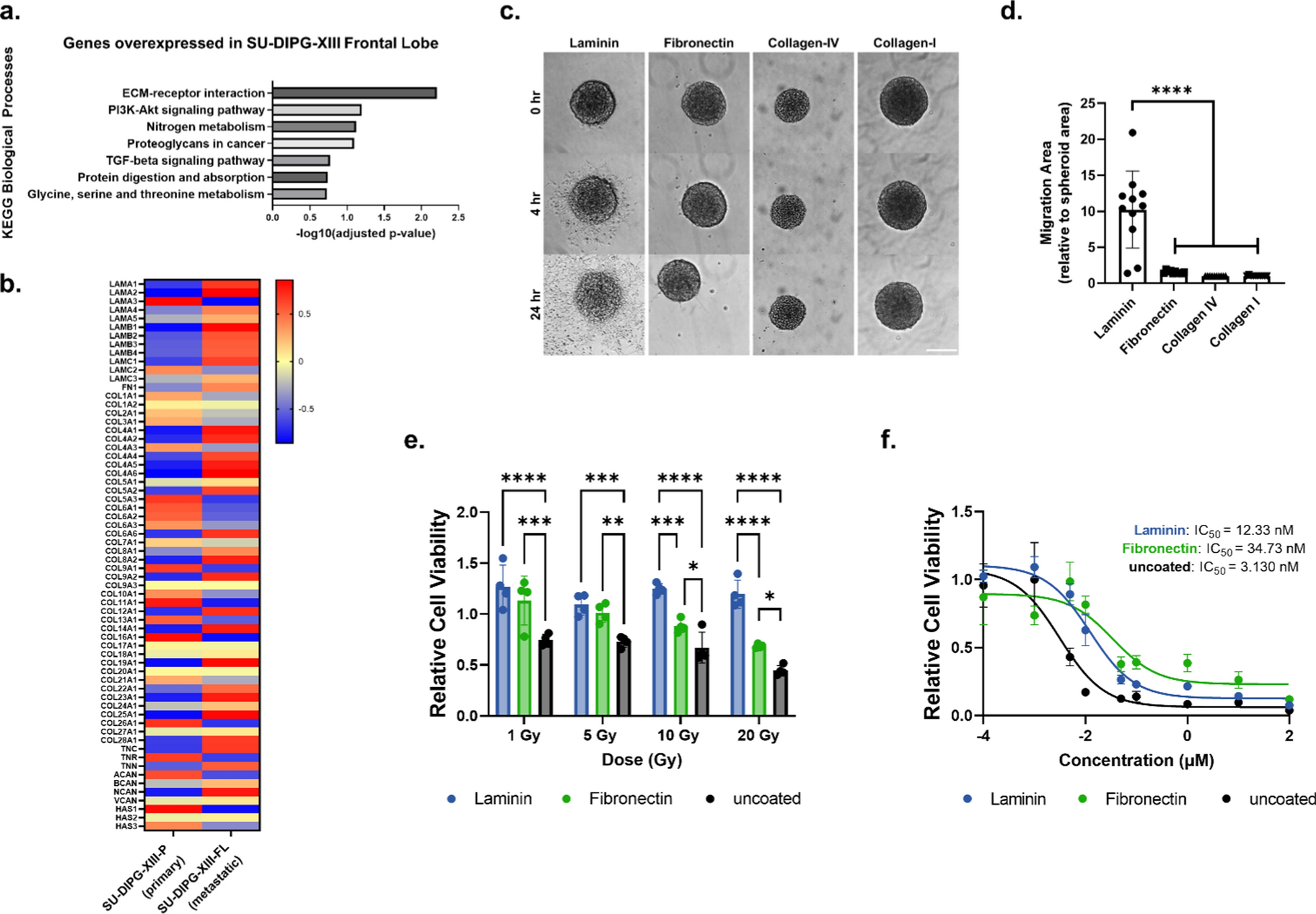 Laminin-associated integrins mediate Diffuse Intrinsic Pontine Glioma infiltration and therapy response within a neural assembloid model