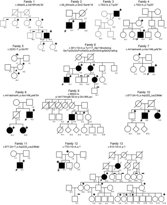 Expanding the clinical spectrum of biglycan-related Meester-Loeys syndrome