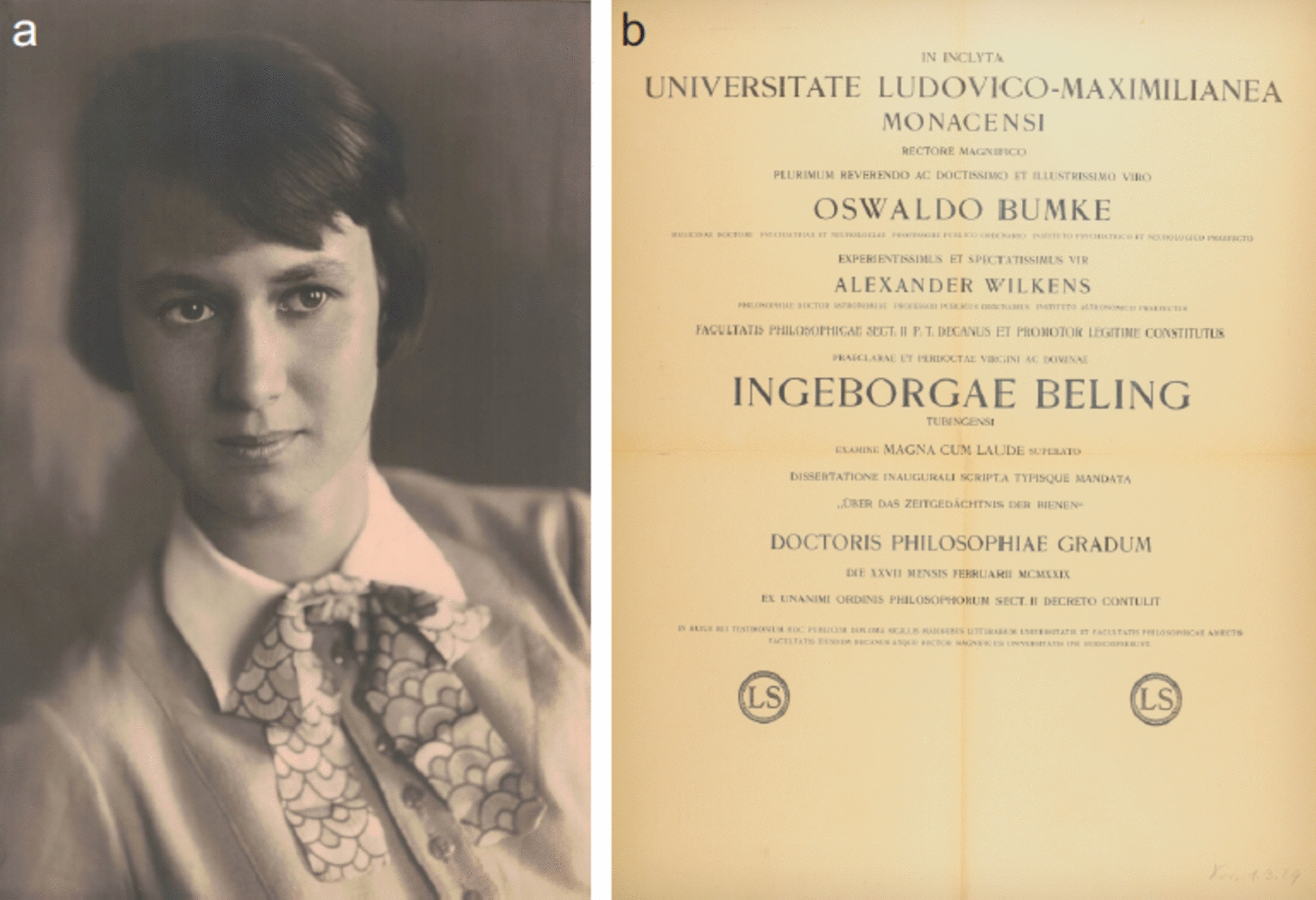 Ingeborg Beling and the time memory in honeybees: almost one hundred years of research
