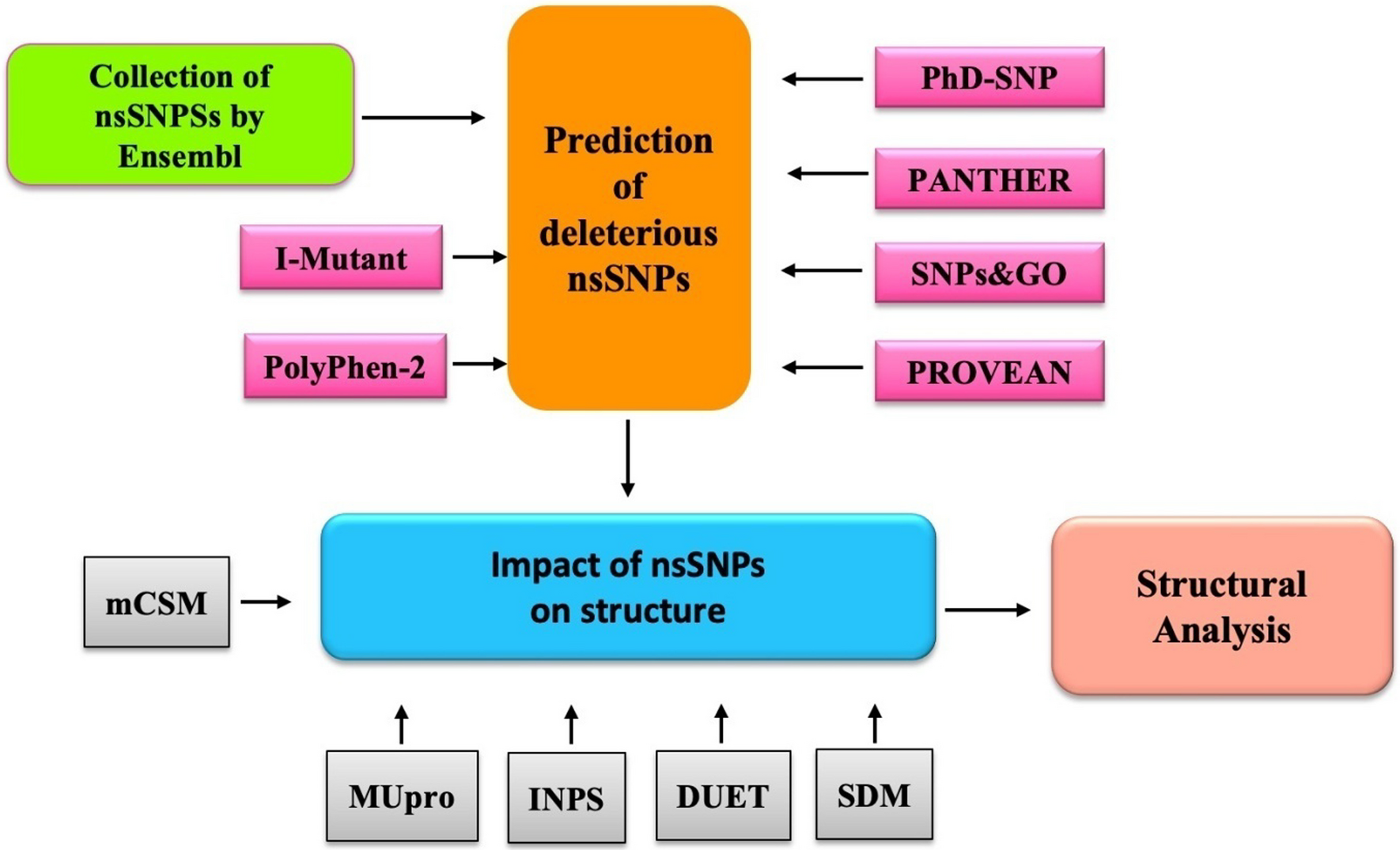 Insights into the structural and functional analysis of impact of the missense mutations on α-synuclein: an in silico study