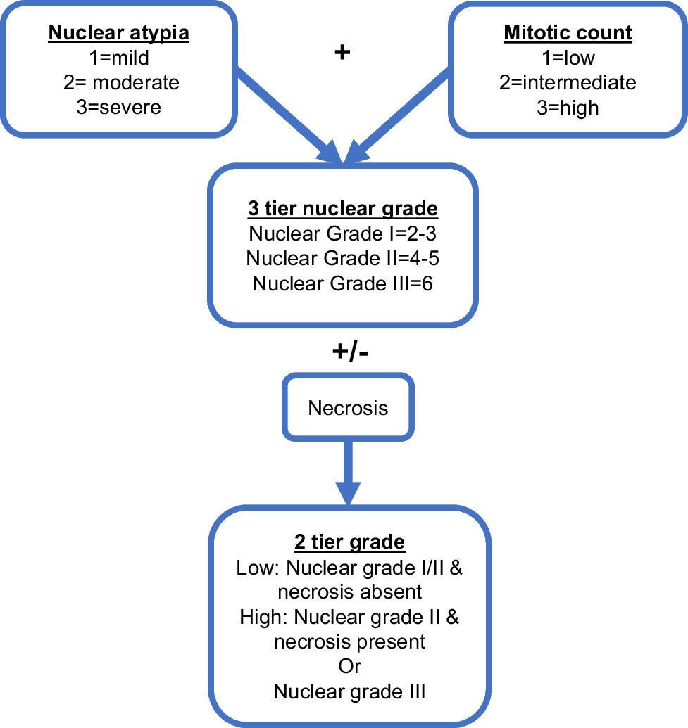 Recent Advances in Mesothelioma