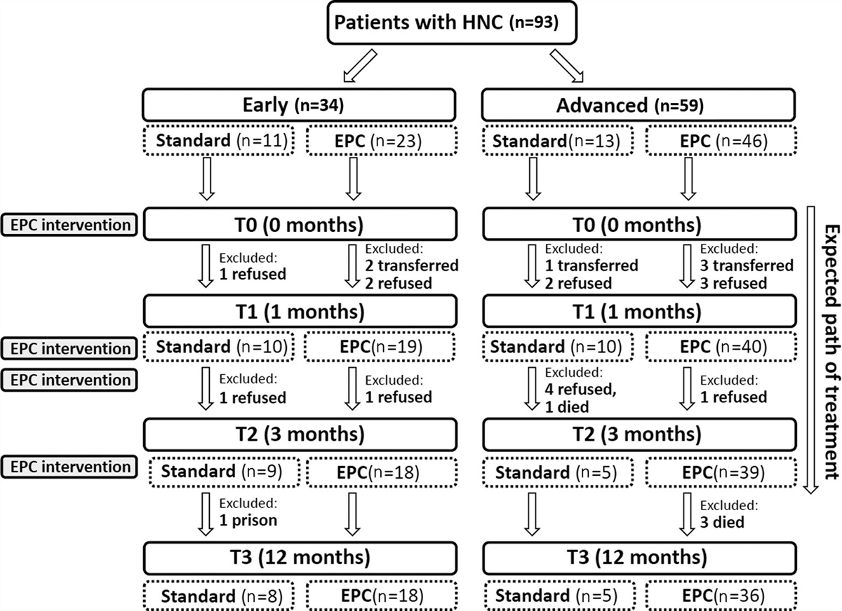 Effectiveness of early palliative care in patients with head and neck cancer in Taiwan