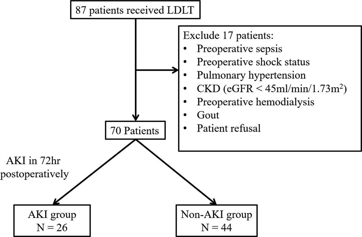 Low preoperative serum uric acid is associated with early acute kidney injury after living donor liver transplantation