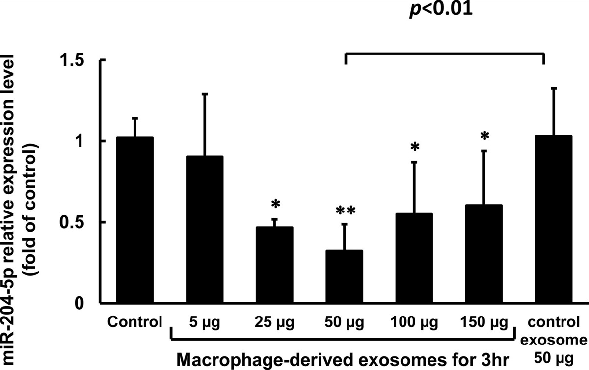 Exosomal MALAT1 from macrophages treated with high levels of glucose upregulates LC3B expression via miR-204-5p downregulation