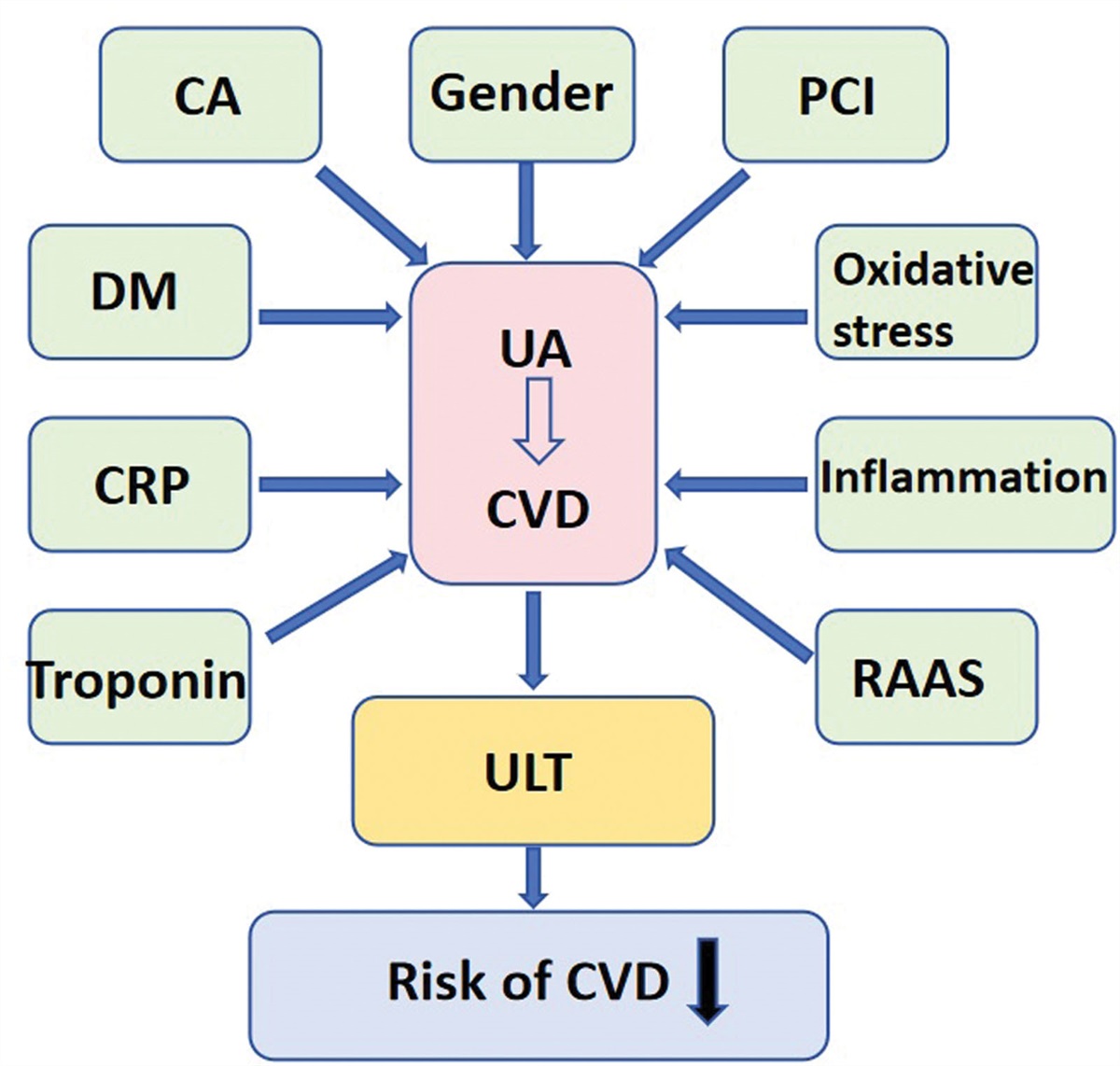 Progress of uric acid in cardiovascular disease