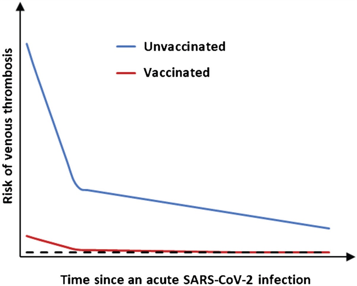 COVID-19 vaccination prevents venous thrombosis in patients with SARS-CoV-2 infection and thereafter