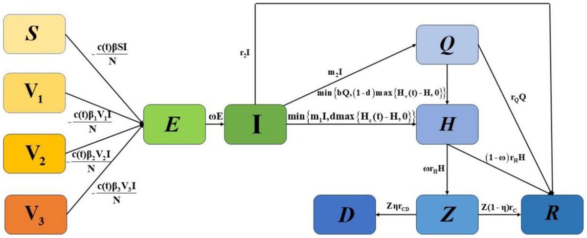 Assessing the impact of vaccination and medical resource allocation on infectious disease outbreak management: a case study of COVID-19 in Taiyuan City