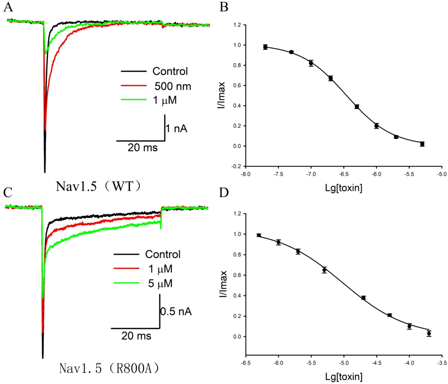 Molecular Basis of JZTX-III Inhibiting the Fast Inactivation of Voltage-Gated Sodium Channel Nav1.5