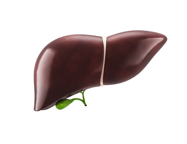 Study reveals new insights into urea cycle's role in fatty liver disease