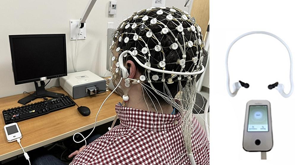 Evidence of bottom-up homeostatic modulation induced taVNS during emotional and Go/No-Go tasks