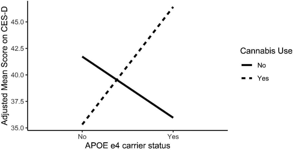 Substance use moderates relationships between apolipoprotein E genotype, hepatitis C, cognition, and depression in Miami Adult Studies on HIV (MASH) participants