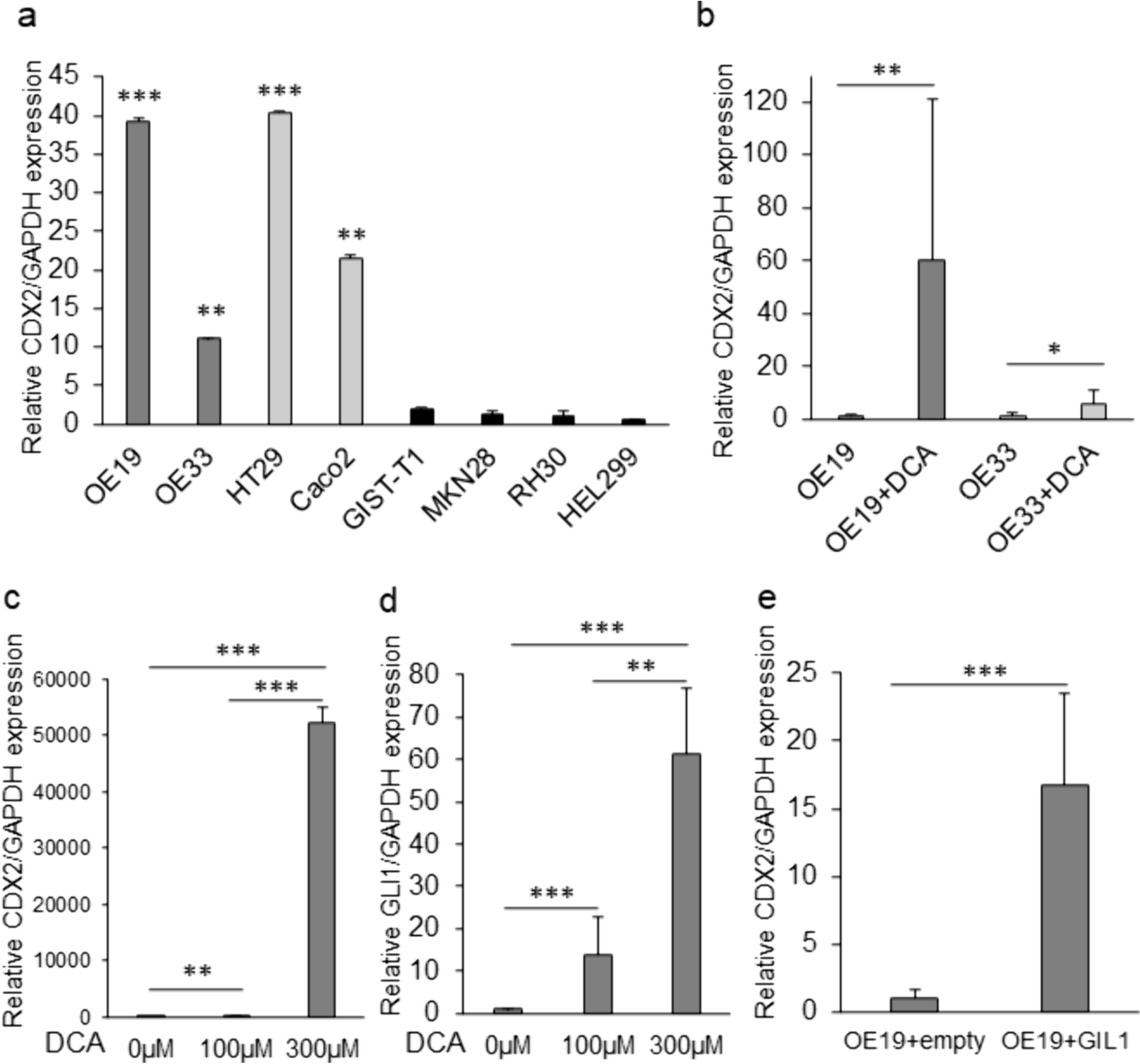 Development of a novel oncolytic adenovirus controlled by CDX2 promoter for esophageal adenocarcinoma therapy