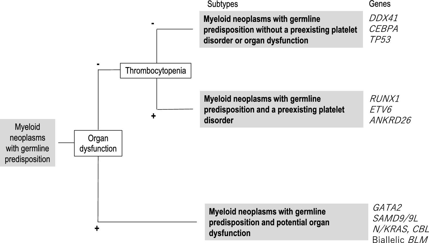 Molecular pathophysiology of germline mutations in acute myeloid leukemia