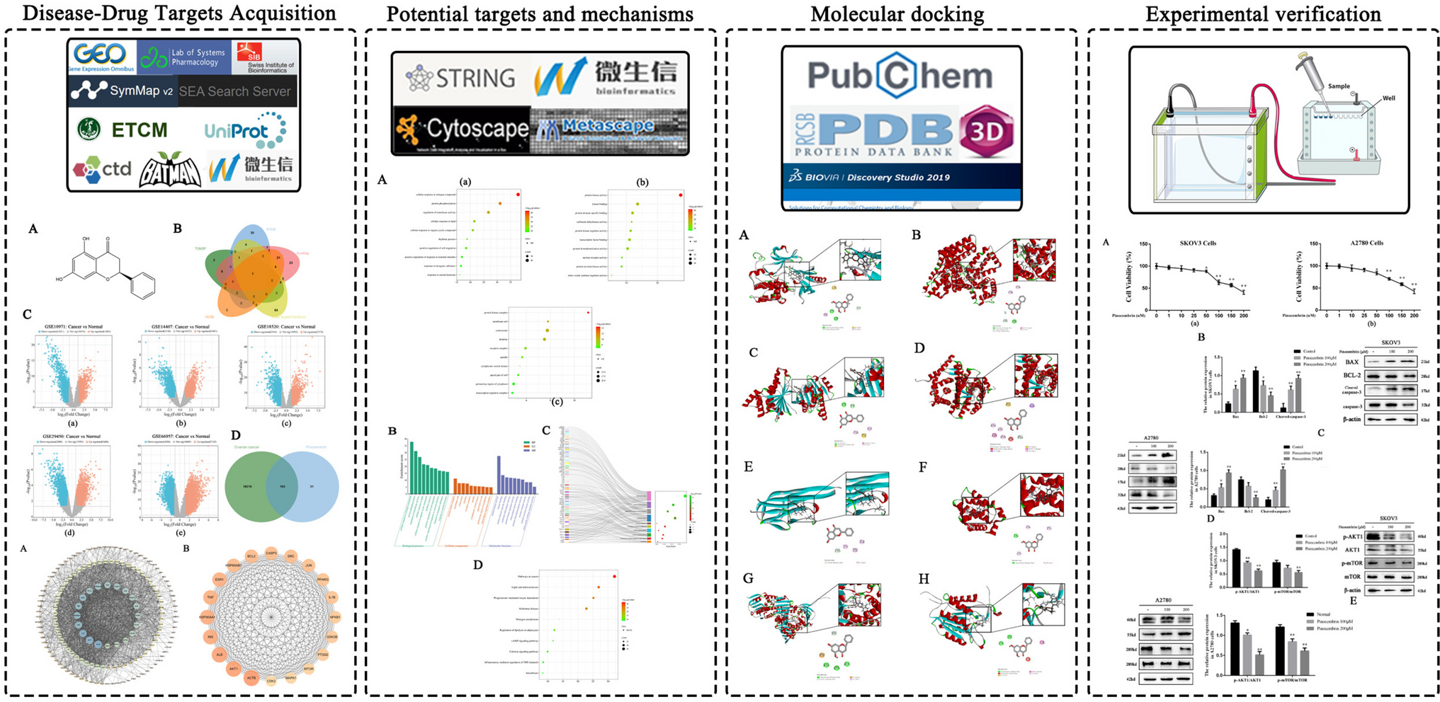 Network pharmacology-based strategy to reveal the mechanism of pinocembrin against ovarian cancer