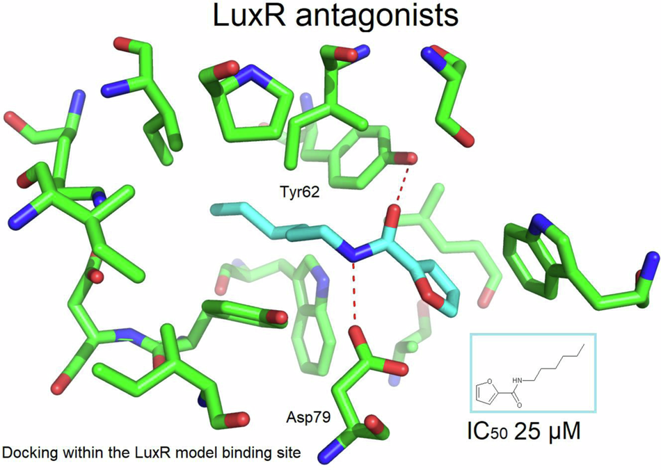 Facile access to novel furoyl-based amide retroisoster inhibitors of LuxR-regulated quorum sensing: conformation analysis and docking studies