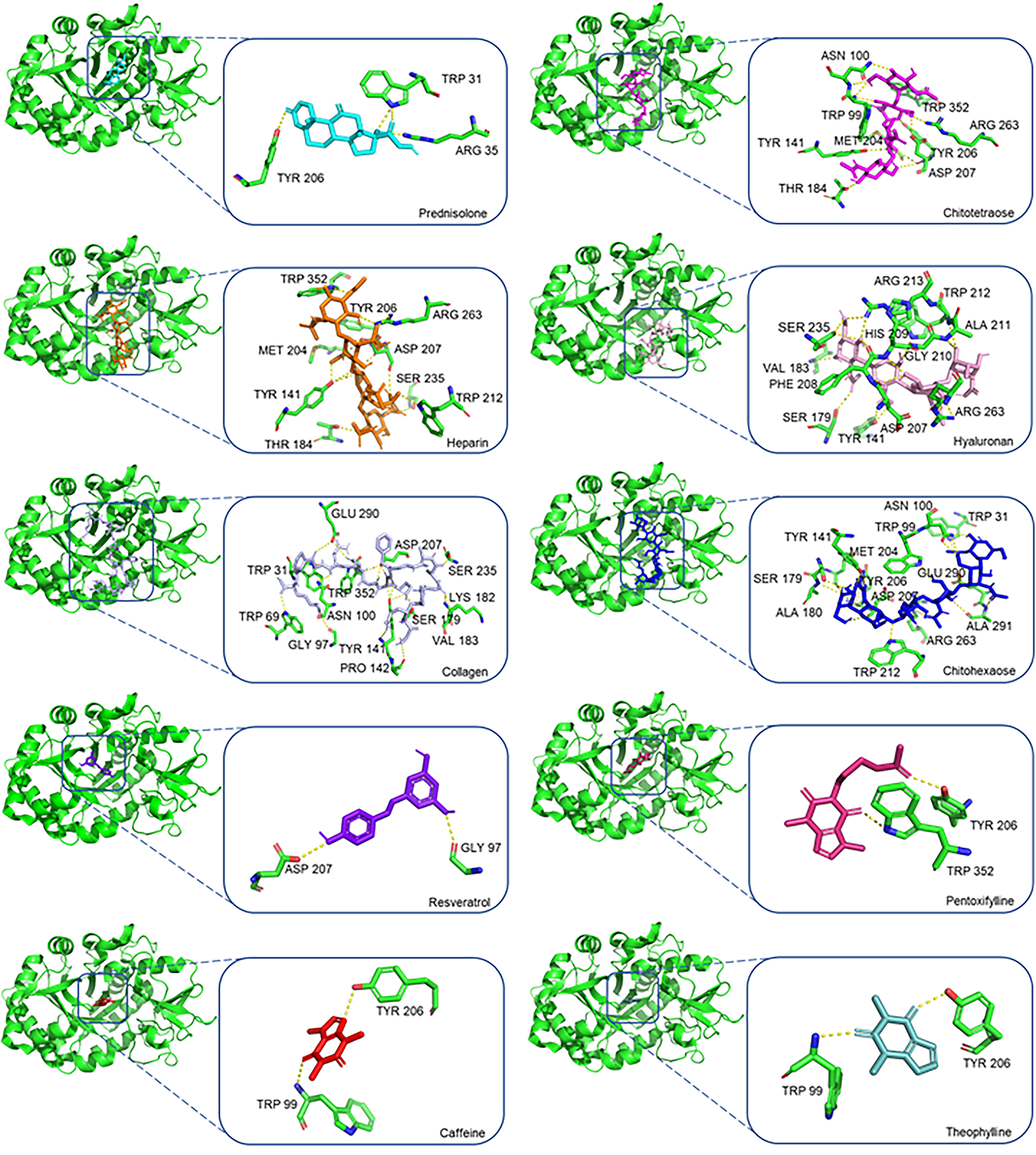 Darifenacin: a promising chitinase 3-like 1 inhibitor to tackle drug resistance in pancreatic ductal adenocarcinoma