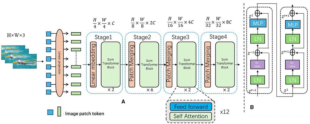 Swimtrans Net: a multimodal robotic system for swimming action recognition driven via Swin-Transformer