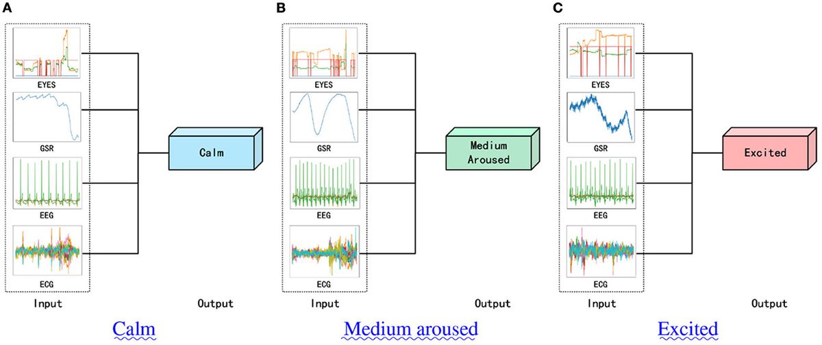 A novel signal channel attention network for multi-modal emotion recognition