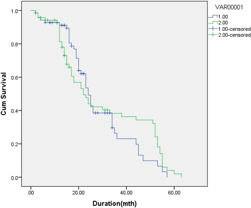 Survival Analysis of Triple-Negative Breast Cancer in a Rural Tertiary Care Center of Central India