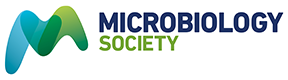 Paracoccus actinidiae sp.nov., a novel bacterium isolated from kiwi tree rhizosphere soil