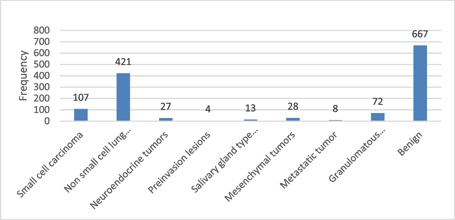 Spectrum of Thoracic Diseases (Benign and Malignant) in North Western India: A Study of 2527 Cases