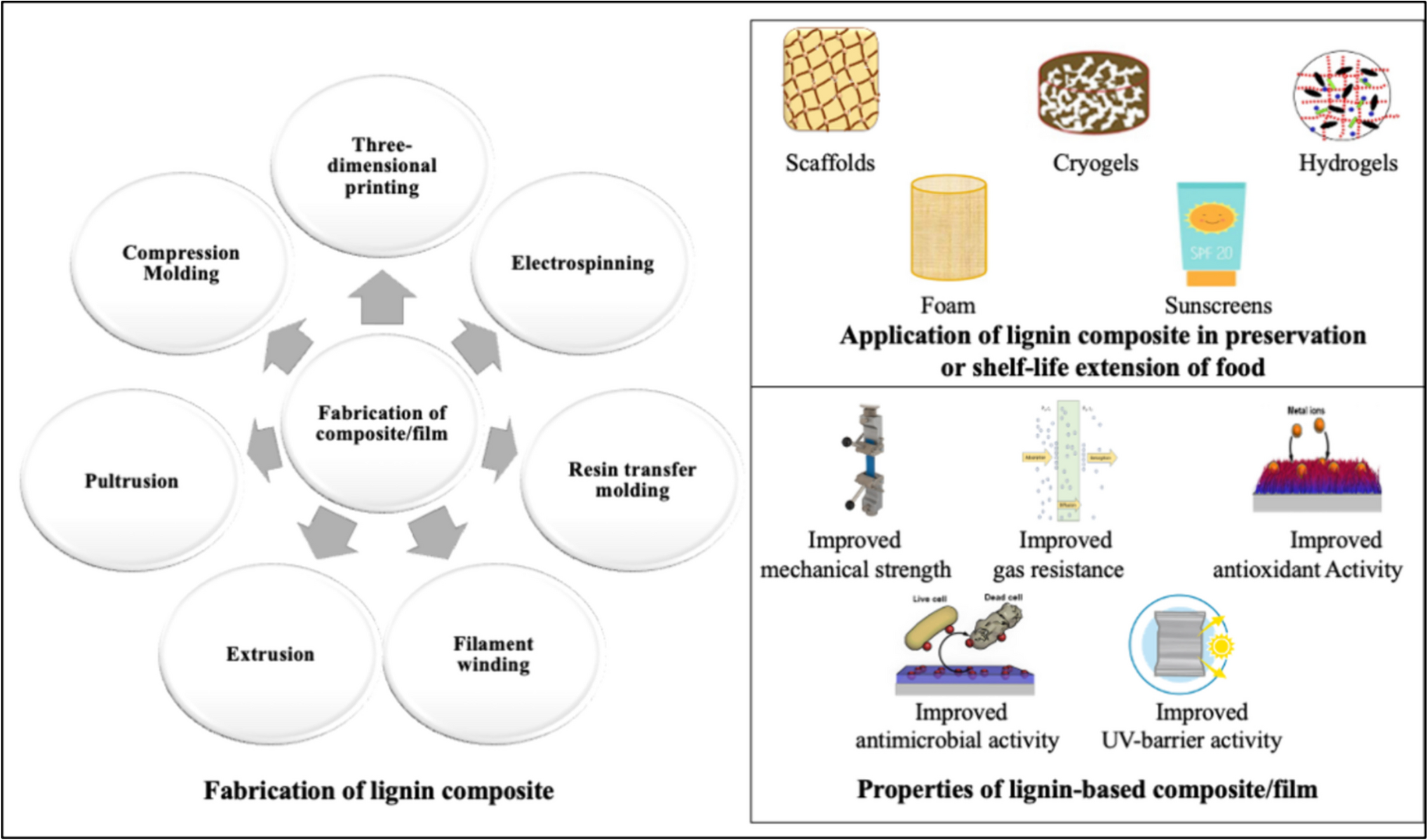 Value-added Lignocellulose from Waste Biomass as a Potential Source in Fabrication of Lignin-based Composite for Multifaceted Applications