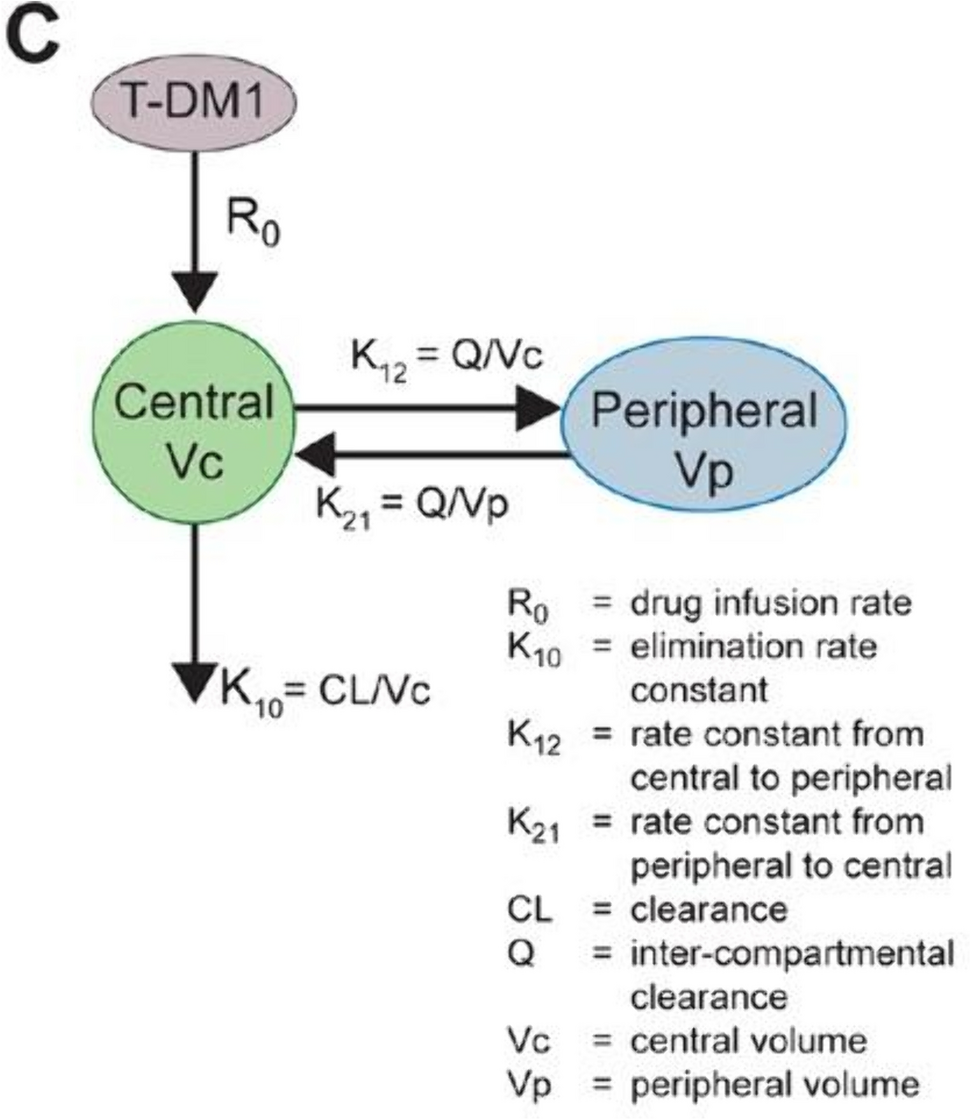 Application of Pharmacometrics in Advancing the Clinical Research of Antibody-Drug Conjugates: Principles and Modeling Strategies