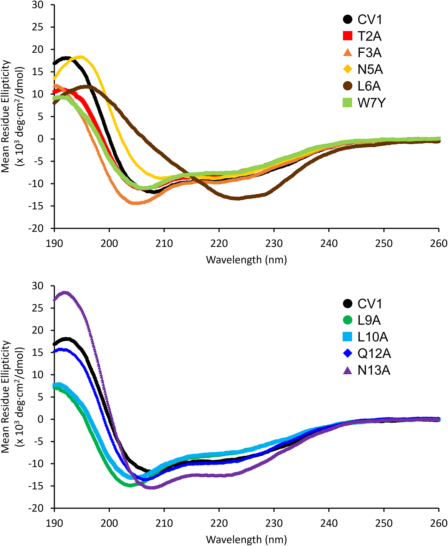 Structural Characterization of Disulfide-Linked p53-Derived Peptide Dimers