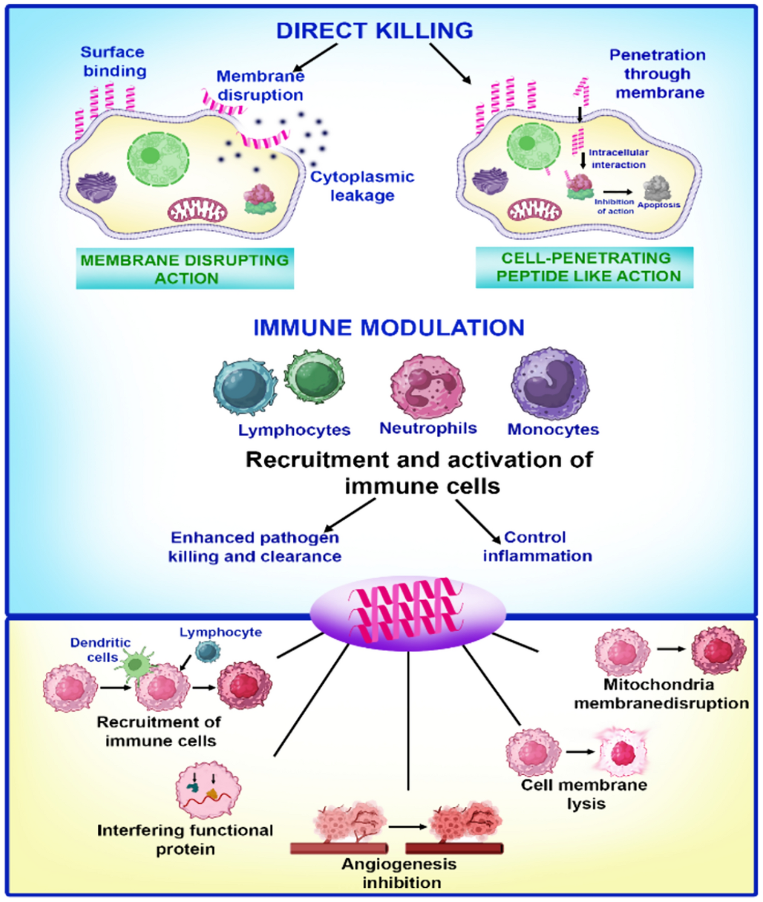 Polymer-Based Antimicrobial Peptide Mimetics for Treating Multi-drug Resistant Infections: Therapy and Toxicity Evaluation