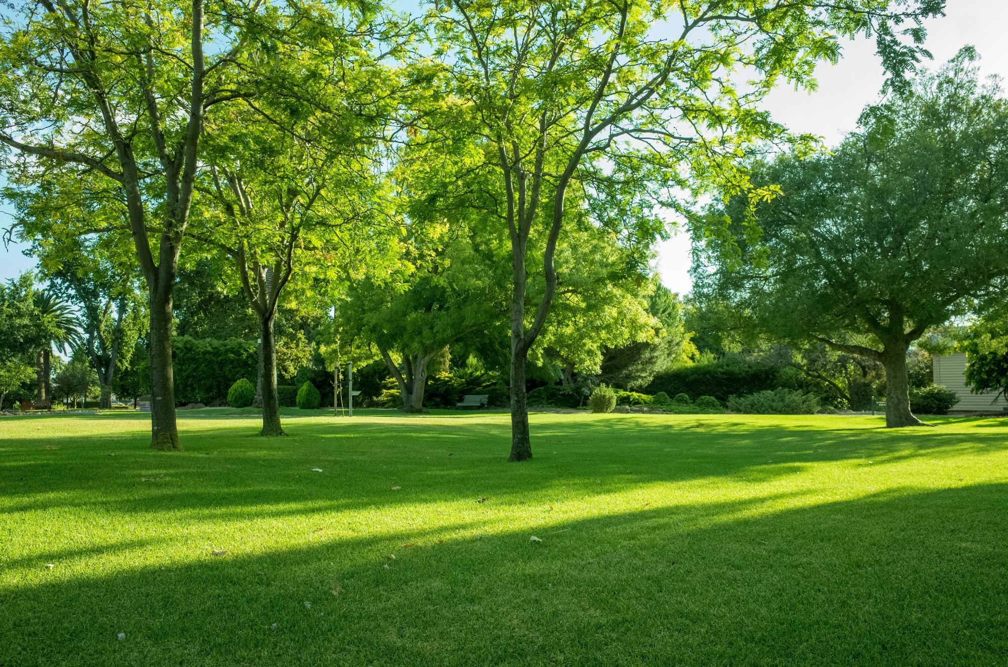 Inequalities in green space linked to preventable deaths in urban areas