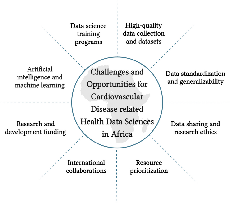 Health Data Sciences and Cardiovascular Disease in Africa: Needs and the Way Forward