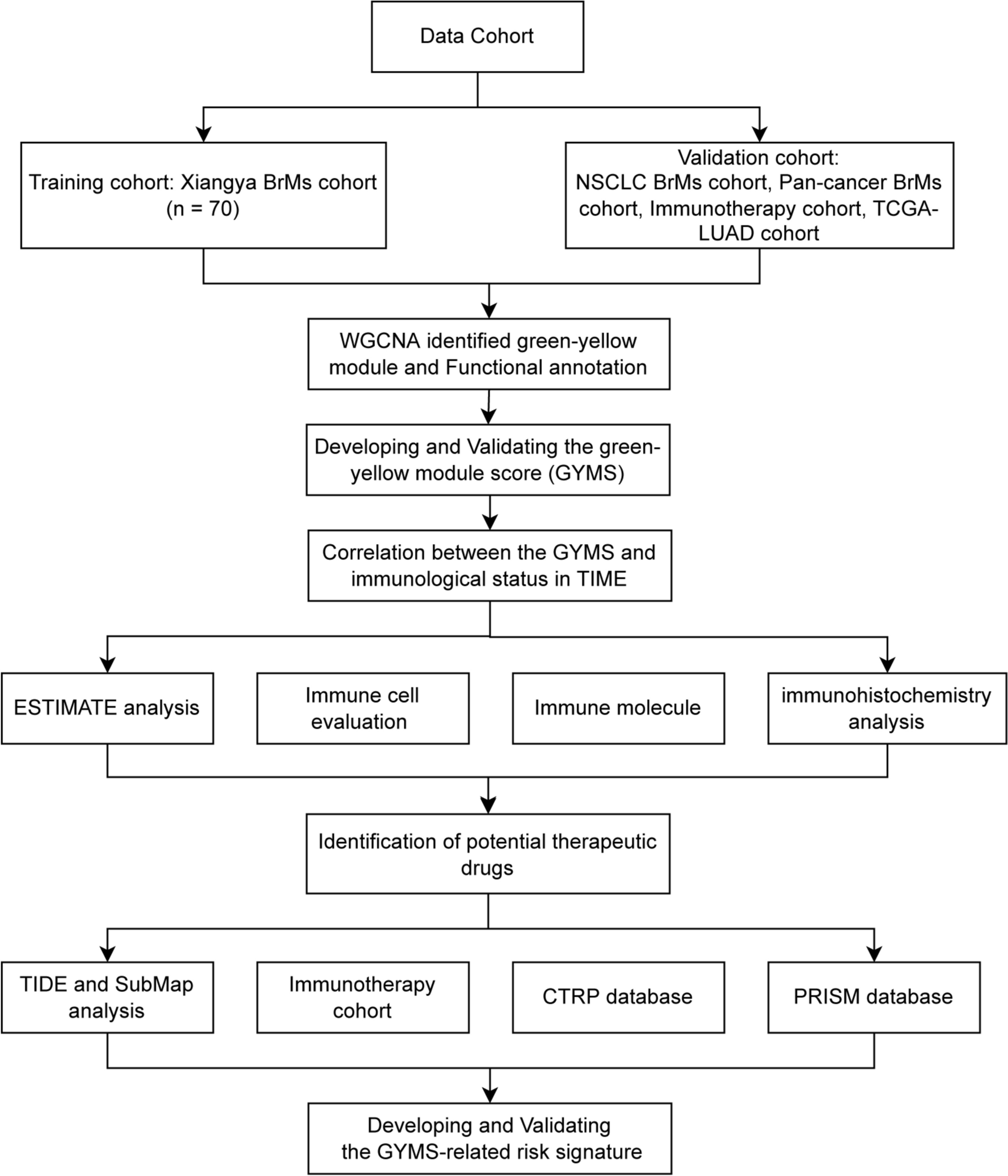 An immune scoring system predicts prognosis and immune characteristics in lung adenocarcinoma brain metastases by RNA sequencing