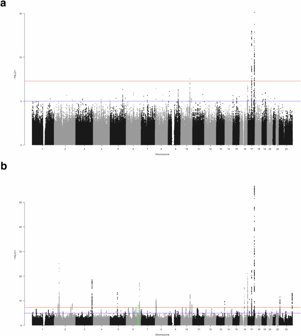 Common protein-altering variant in GFAP is associated with white matter lesions in the older Japanese population