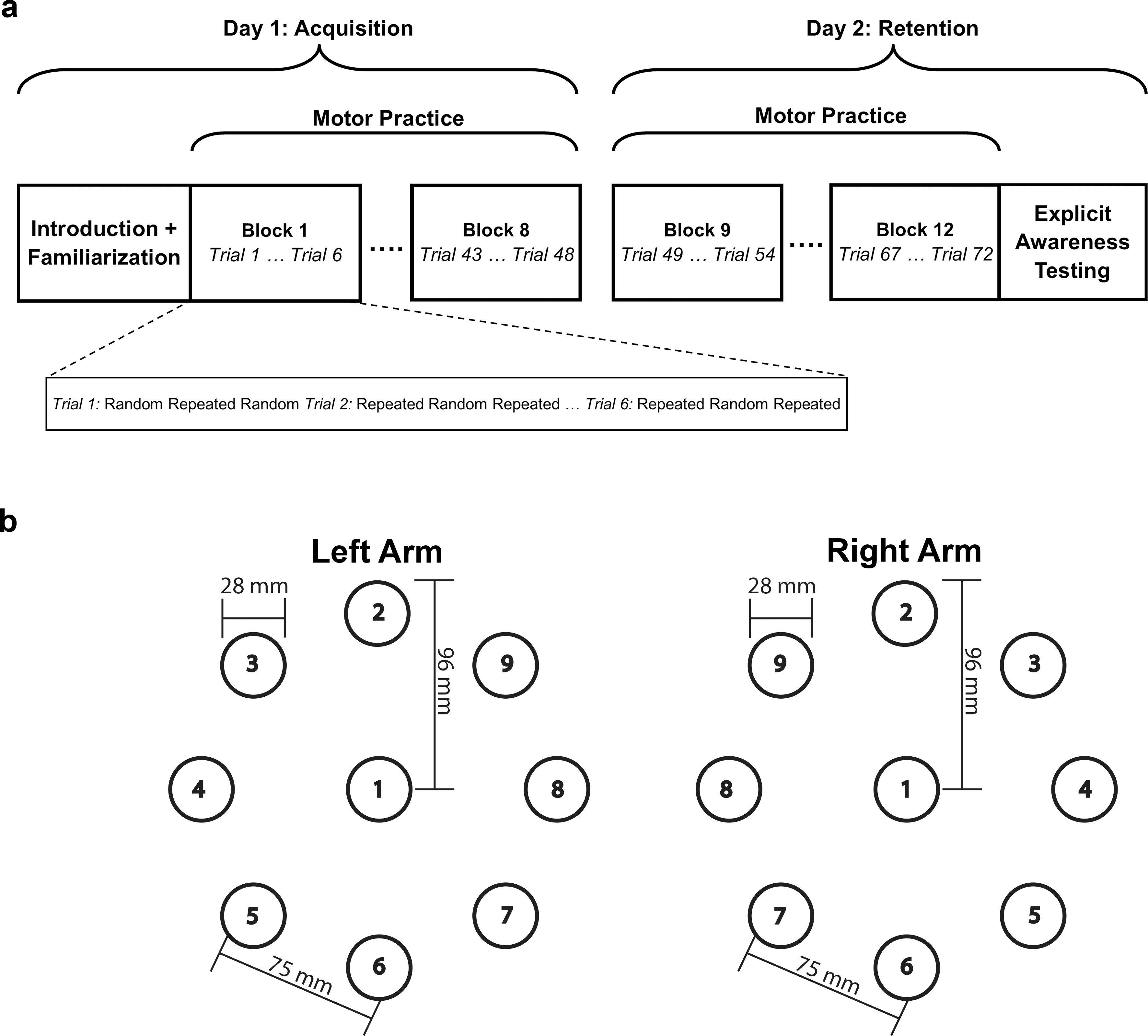 Implicit motor sequence learning using three-dimensional reaching movements with the non-dominant left arm