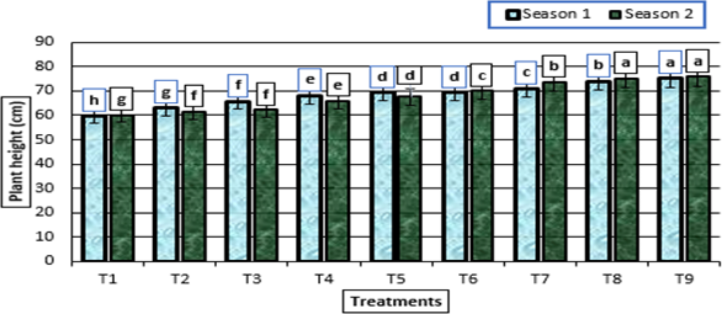Biostimulants for enhancing productivity, bioactive components, and the essential oils of garlic with the potential antifungal activity