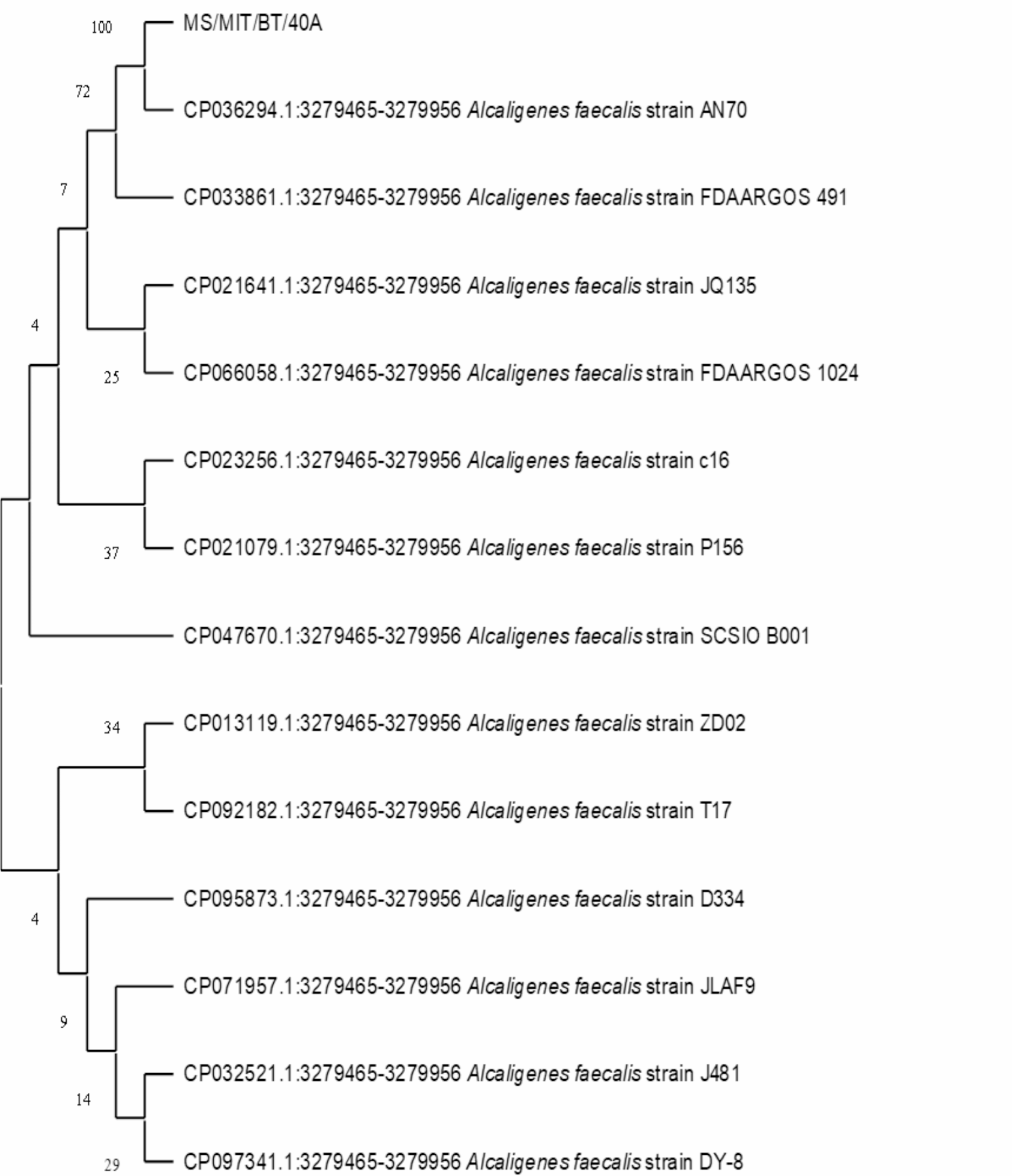 Marine chitinase AfChi: green defense management against Colletotrichum gloeosporioides and anthracnose