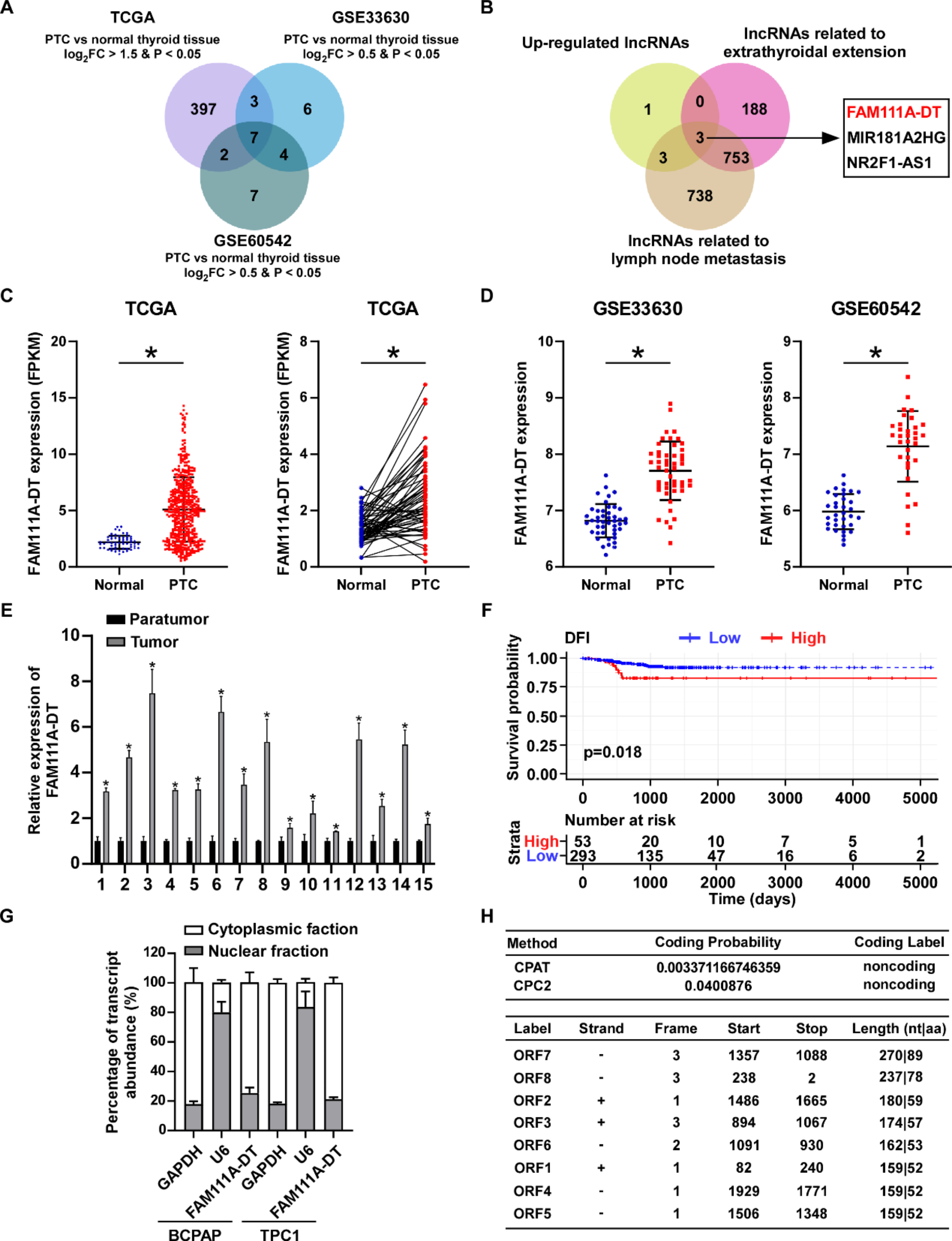 Long noncoding RNA FAM111A-DT promotes aggressiveness of papillary thyroid cancer via activating NF-κB signaling