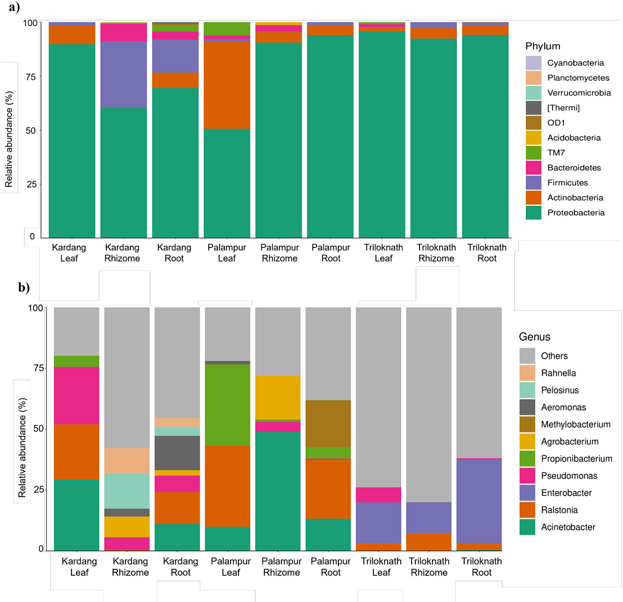 Deciphering the endomicrobiome of Podophyllum hexandrum to reveal the endophytic bacterial-association of in-planta podophyllotoxin biosynthesis