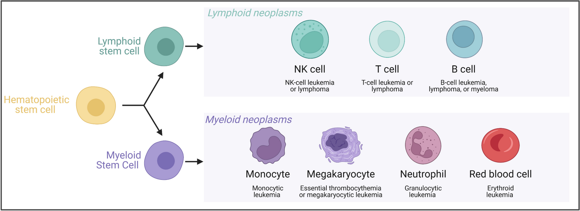 MircoRNAs predict and modulate responses to chemotherapy in leukemic patients
