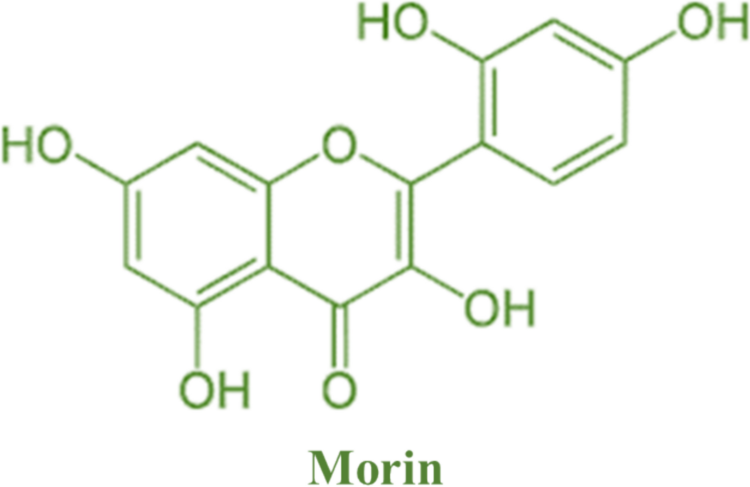 Morin, as a natural flavonoid, provides promising influences against cardiovascular diseases