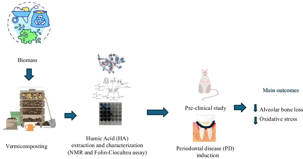 Humic acid from vermicompost effectively regulates the redox status and mitigates the progression of experimental periodontitis