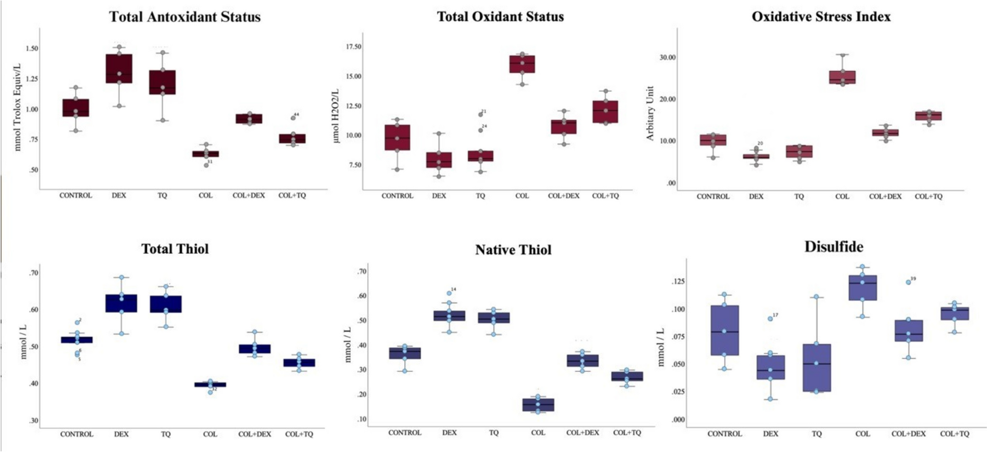 Comparative effects of dexpanthenol and thymoquinone on colistin-induced neurotoxicity in rats