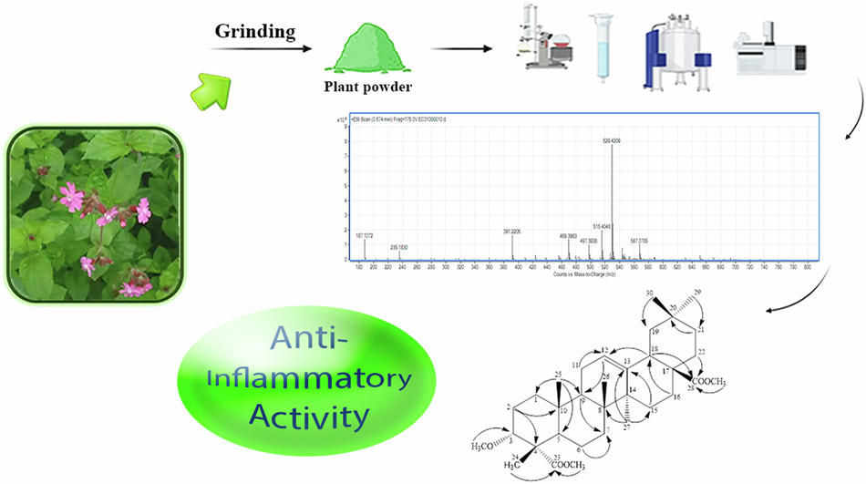 Phytochemical constituents isolated from Silene popovii Schischk