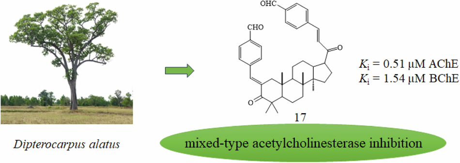 Evaluation of cholinesterase enzyme inhibitory potential of dipterocarpol derivatives