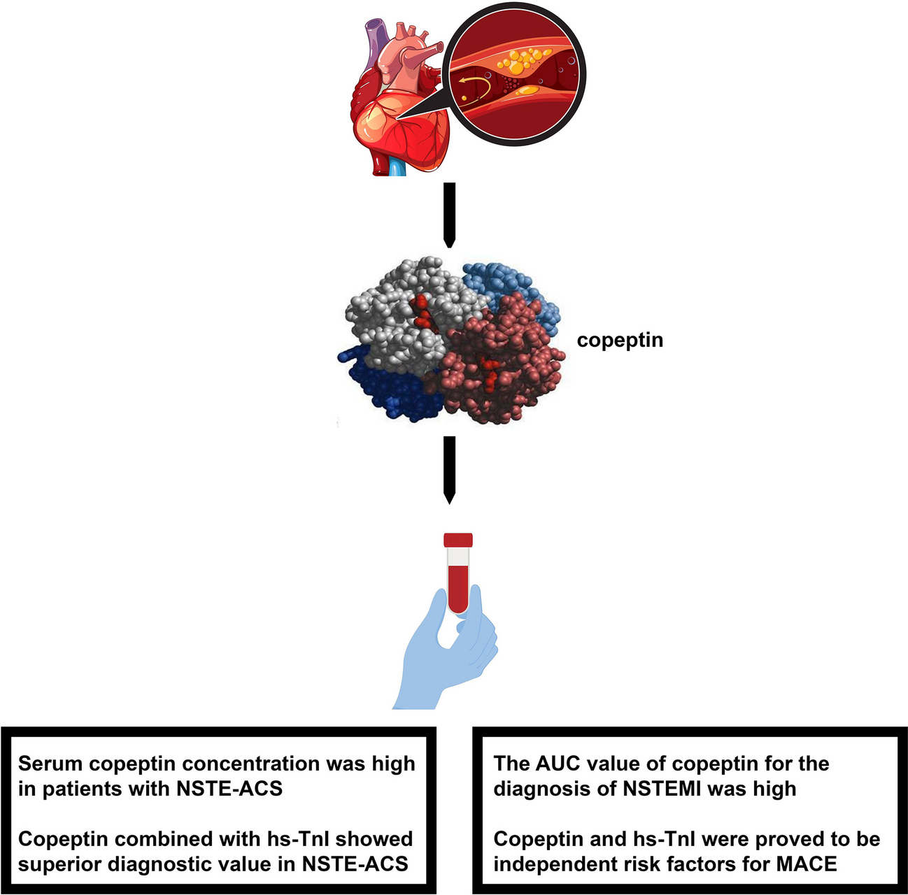 Diagnostic Value and Short-Term Prognosis Assessment of Copeptin in Non-ST-Elevation Acute Coronary Syndrome