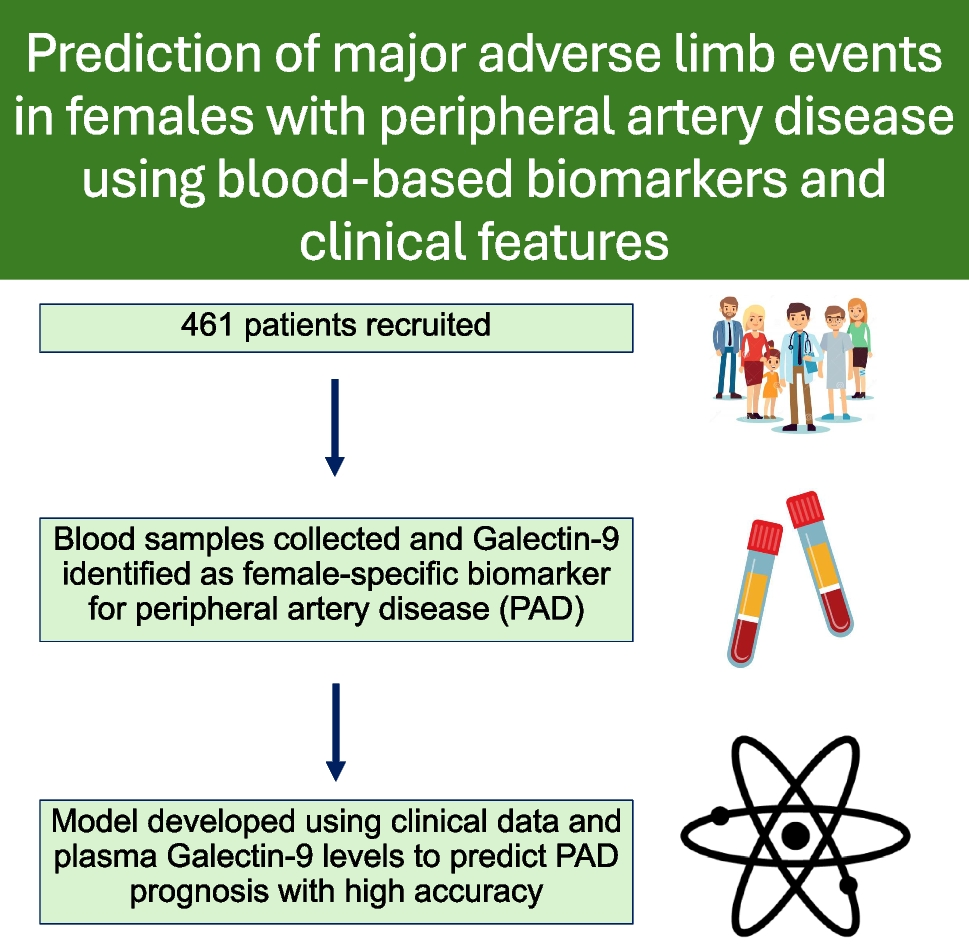 Prediction of Major Adverse Limb Events in Females with Peripheral Artery Disease using Blood-Based Biomarkers and Clinical Features