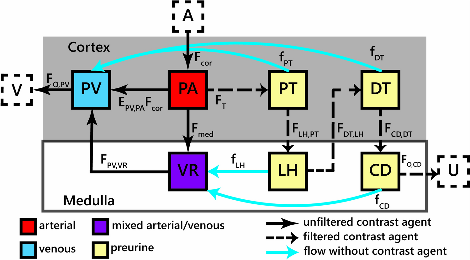 A method to measure renal inner medullary perfusion using MR renography