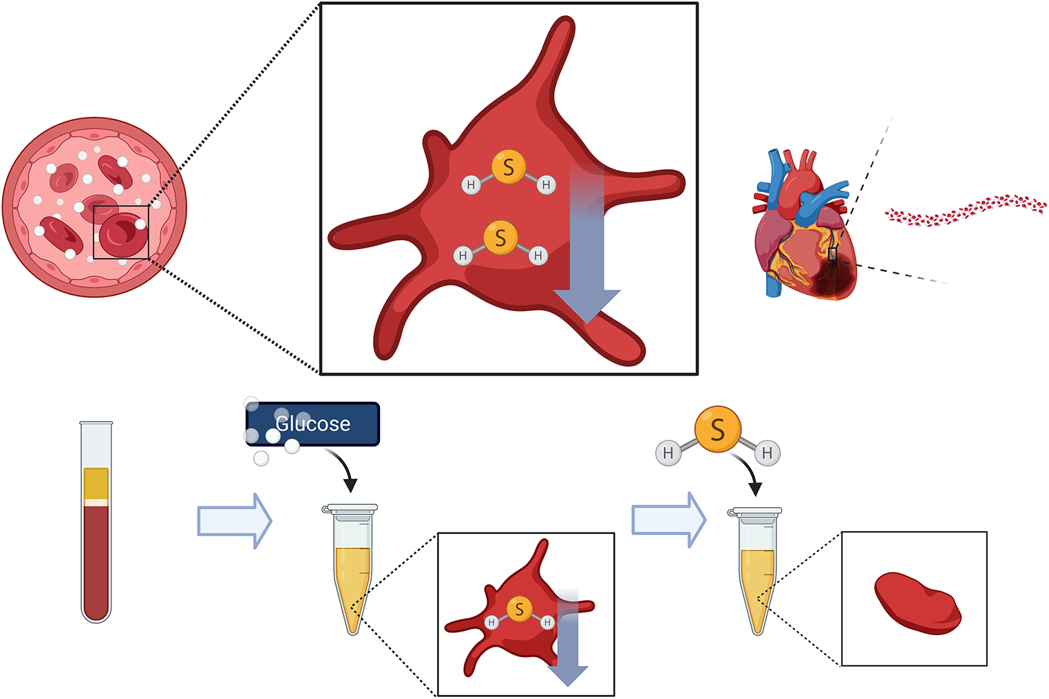 Hydrogen sulphide alleviates platelet dysfunction in patients with type 2 diabetes